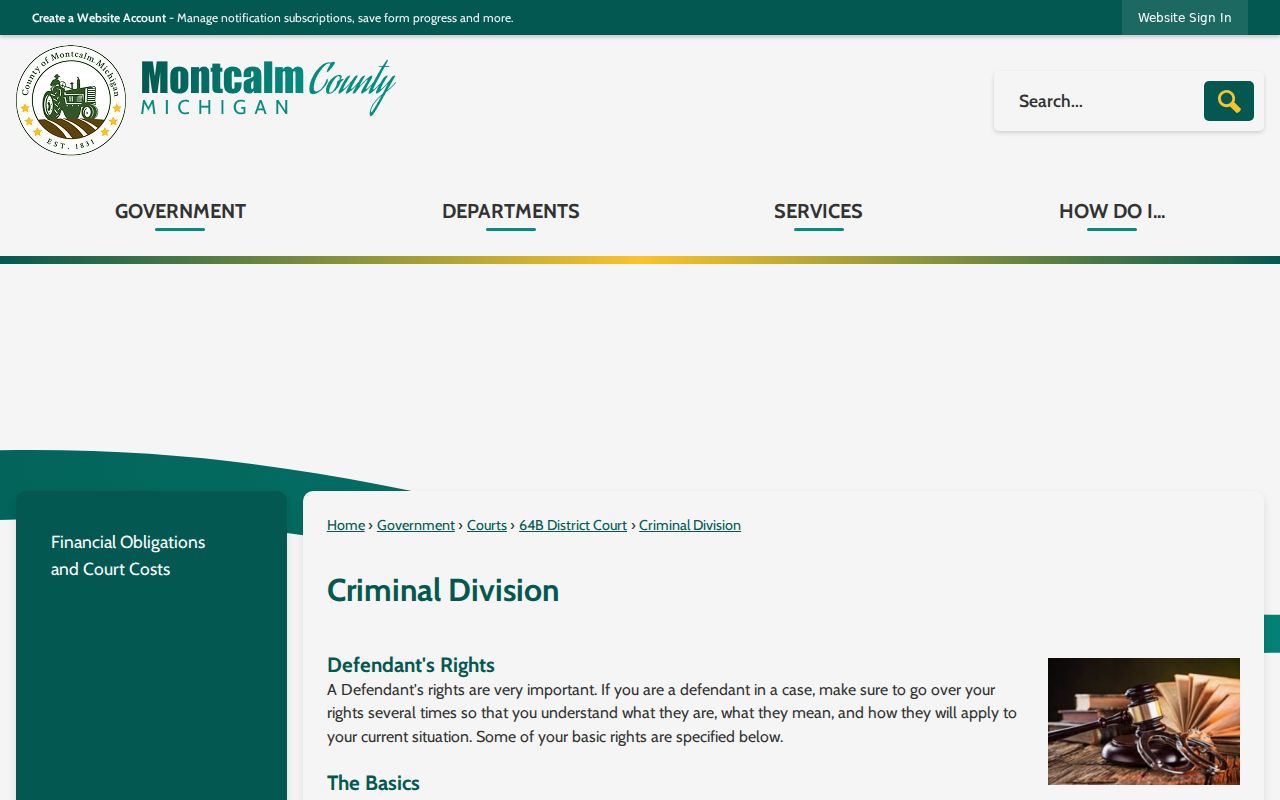 Montcalm County criminal court case information from the 64B Criminal Division